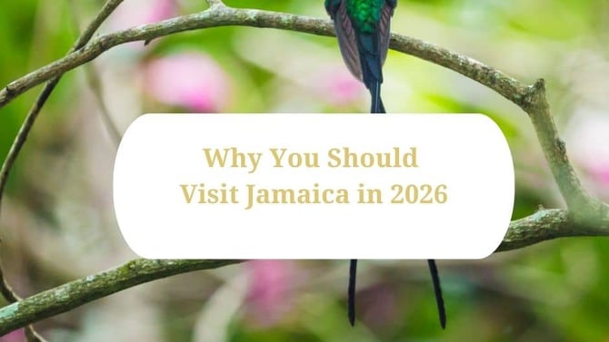 Here is Why You Should Visit Jamaica in 2026