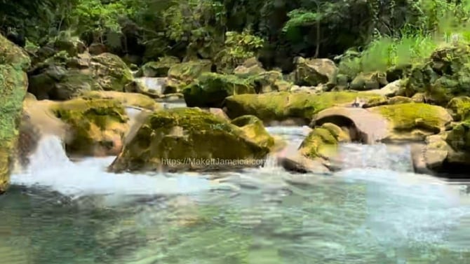 River Tubing with River Rapids Jamaica on the Bengal River