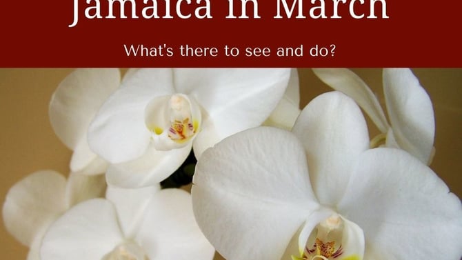 Jamaica in March: What's it like in Jamaica in March