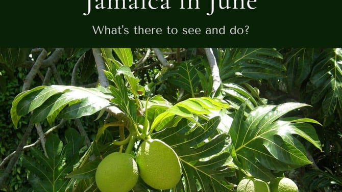 Jamaica in June: What's it like to visit Jamaica in June