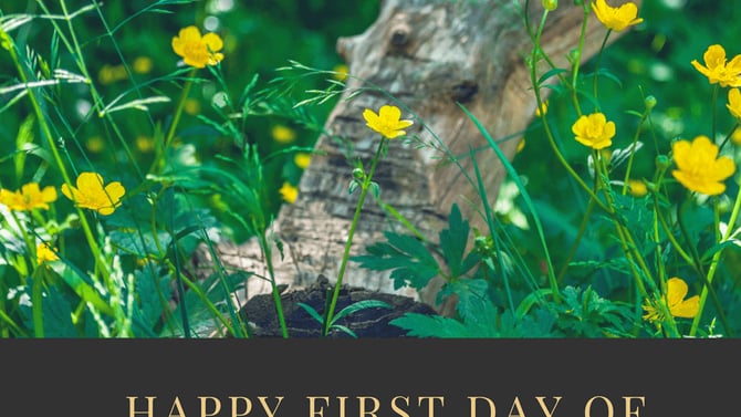 Happy First Day of Spring