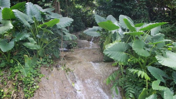 Konoko Falls Jamaica