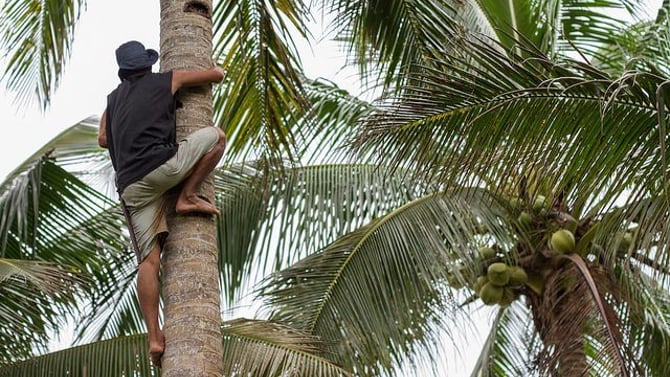 Solve a Jamaican Riddle: 16 Jamaican Riddles and Answers