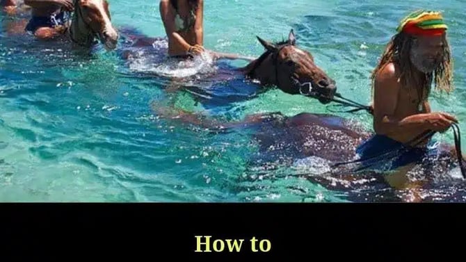 Let's Go Horseback Riding in Jamaica in the Sea I Things to Do in Jamaica