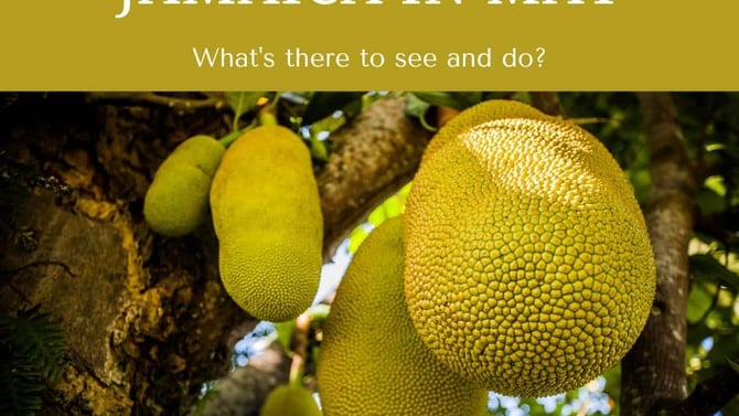 Jamaica in May: What's it like to visit Jamaica in May