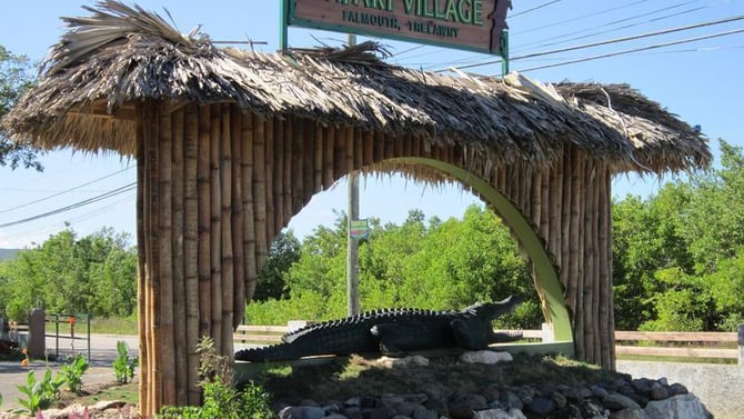 Things to Do in Falmouth: Jamaica Swamp Safari Village