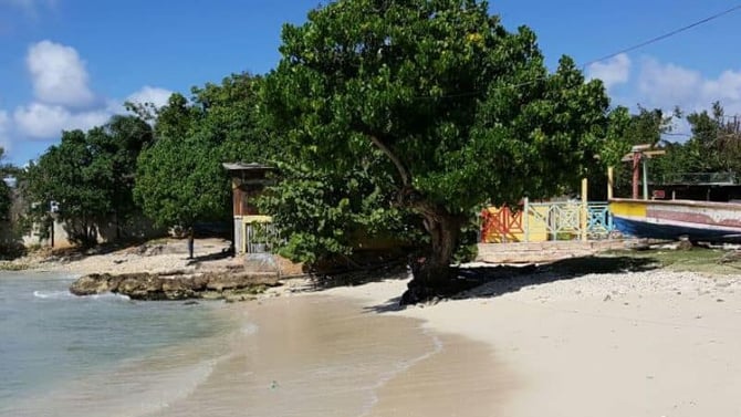 Top 10 Things to Do in Discovery Bay Jamaica