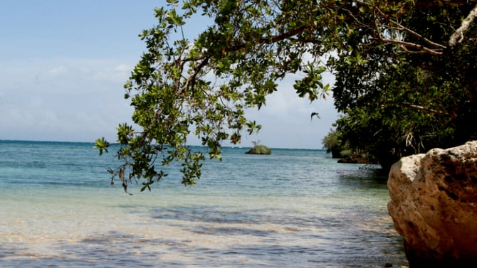 6 Reasons a Stay in Discovery Bay Jamaica is not for You